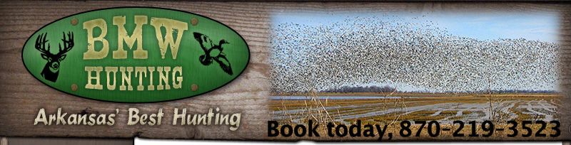 Arkansas Duck Hunting Lease